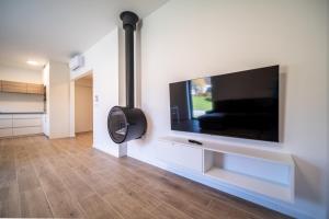 TV a/nebo společenská místnost v ubytování Holiday House U Hájenky 11P Lipno Home