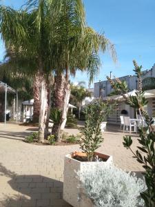un patio con palmeras, mesa y sillas en CORTE CARAFA "un'Oasi nel Centro Storico con parcheggio interno riservato", en Nardò