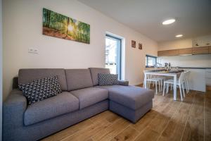 Posezení v ubytování Holiday House U Hájenky 11P Lipno Home