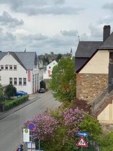 una pequeña ciudad con casas y una calle con flores púrpuras en Ferienwohnung Castellino en Kastellaun