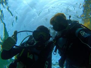 Hosté ubytování Blue Studios by Irene