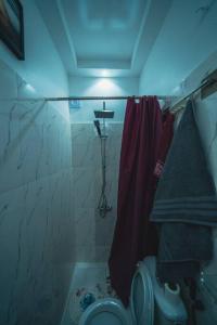 a bathroom with a shower and a toilet with a blue light at Le charmant in Dakar