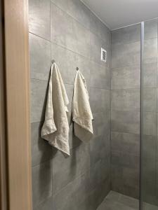 een douche met twee handdoeken aan de muur bij Apartrip Komenskeho in Košice