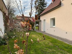 a plant in a yard next to a house at OM Yoga center in Slovenska Bistrica