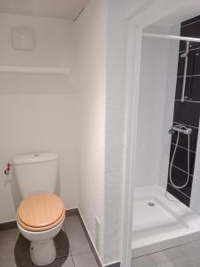 een badkamer met een toilet en een douche bij maison cosy in Le Soler