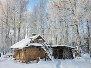 een blokhut in de sneeuw in een bos bij Baltās Raganiņas pirts in Sabile