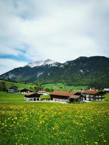 a field of yellow flowers in front of a mountain at Haus Gamssprung in Steinberg am Rofan