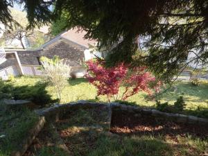 Zahrada ubytování Villa Giulia