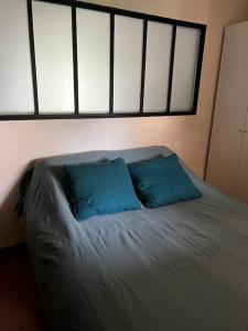 ein Bett mit zwei blauen Kissen in einem Schlafzimmer in der Unterkunft Appartement 6-8 pers, proche mer in Linguizzetta