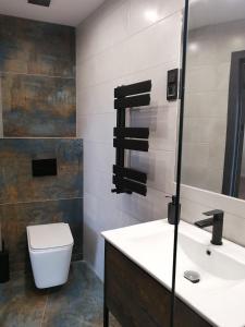 ギュムリにあるGREEN RooFのバスルーム(洗面台、トイレ、鏡付)