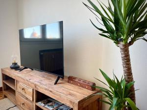 TV a/nebo společenská místnost v ubytování Ático con vistas en el centro