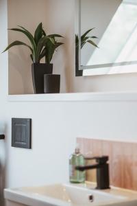 a bathroom sink with a potted plant on a mirror at Ardlearag in Garve