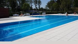 duży basen z niebieską wodą w obiekcie Apartamenty Sun & Snow Polanki z sauną w Kołobrzegu