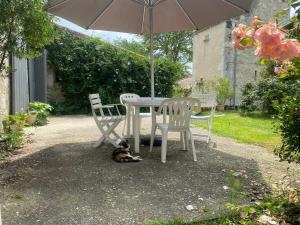 a dog laying under an umbrella next to a table and chairs at Studio 1 lit 140cm et 1 lit 90cm in Saint-Mézard