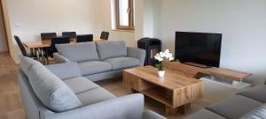 a living room with couches and a television and a table at Duplex Holiday Apartment in Škofljica