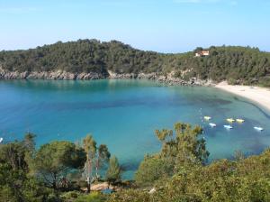 vista su una spiaggia con barche in acqua di Hotel Galli - Wellness & Spa a Fetovaia