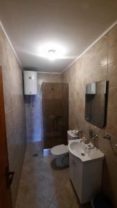La salle de bains est pourvue de toilettes, d'un lavabo et d'une douche. dans l'établissement Apartmani Cupic, à Budva