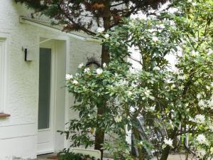 Zahrada ubytování Ferienwohnung Niemann in Lutterloh
