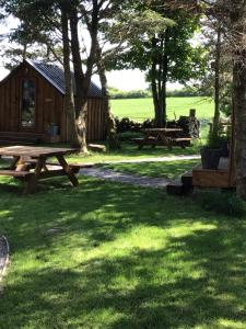 a picnic table in the grass next to a cabin at Cow Close Camping Pods in Leyburn