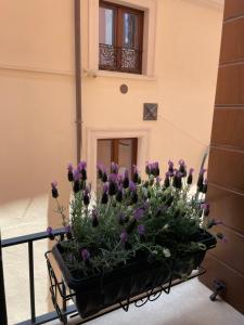 a cart full of purple flowers on a balcony at B & B Piazza Angioina in LʼAquila