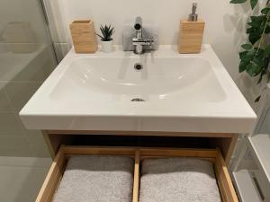 a bathroom with a white sink and a shower at Studio Le Cilaos, au cœur de Castres in Castres +25 photos