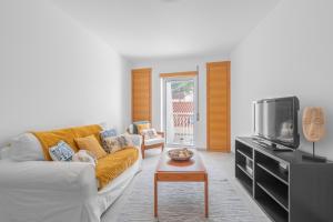 ein Wohnzimmer mit einem Sofa und einem TV in der Unterkunft Apartamento Figueiras in Nazaré