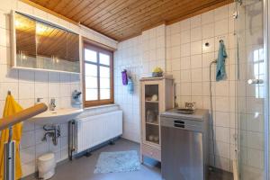 W łazience znajduje się umywalka i prysznic. w obiekcie Ferienhaus Schneider Wietze w mieście Wietze