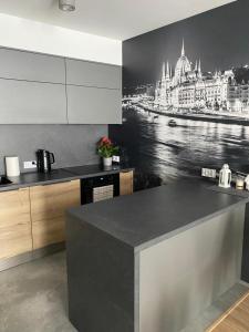 a kitchen with a painting of a building on the wall at Apartamenty in Miechów