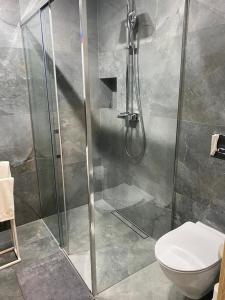 y baño con ducha y aseo. en Apartamenty, en Miechów
