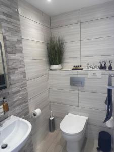 a bathroom with a toilet and a sink at Dafarn Newydd Lodge in Llangefni