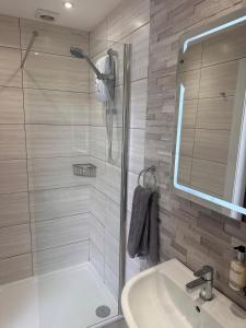 a bathroom with a shower and a sink at Dafarn Newydd Lodge in Llangefni