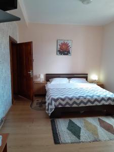 a bedroom with a large bed and a rug at Vila Coca in Predeal