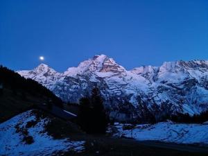 山景或在酒店看到的山景
