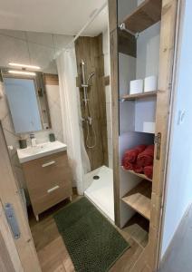 a small bathroom with a shower and a sink at A Ranochja in Ventiseri