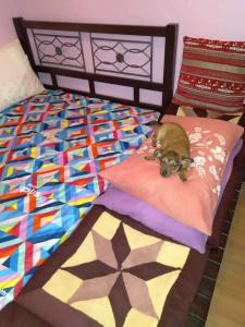 Postel nebo postele na pokoji v ubytování Leigh HomeStay