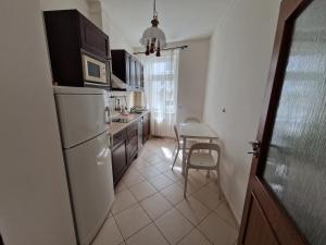 a kitchen with a white refrigerator and a table at Apartmán 63m2 s balkonem v lázeňském centru in Karlovy Vary