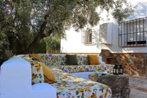 - un salon avec un canapé et un arbre dans l'établissement El Llano de la Encina, à Antequera