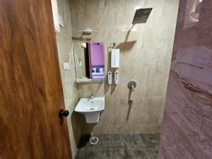 a bathroom with a sink and a mirror at D Fortune Park in Udaipur