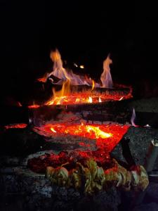 un pozzo di fuoco con dentro un sacco di cibo di Relax u rybníčku a Hajniště