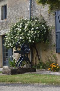 une plante avec des fleurs blanches sur le côté d'un bâtiment dans l'établissement Un jardin et trois maisons, à Brux