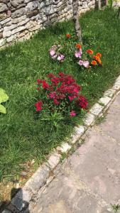 a group of flowers in the grass next to a sidewalk at Alva Room's in Gjirokastër