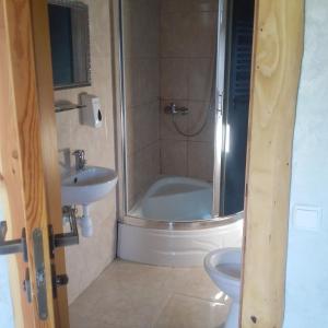 a bathroom with a shower and a toilet and a sink at Saltzbork in Staraya Solʼ