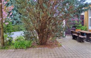 Zahrada ubytování Pet Friendly Apartment