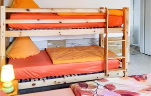 a couple of bunk beds in a room at Pet Friendly Apartment In Bad Schandau-kleing, With Wifi in Kleingießhübel