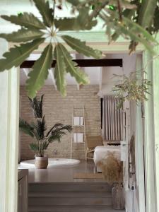 a room with a bed and a plant in it at Eili Suites in Moshav Ramot