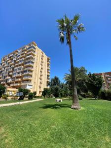 Vonkajšia záhrada v ubytovaní Apt céntrico con vistas y piscinas
