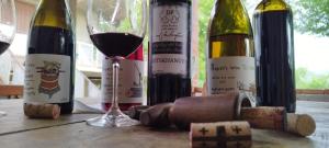 Dimidimis ferdobi的四瓶葡萄酒,坐在桌子上,放上玻璃杯