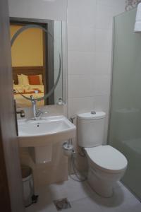 y baño con aseo, lavabo y espejo. en Petra Passion Inn, en Taiyiba