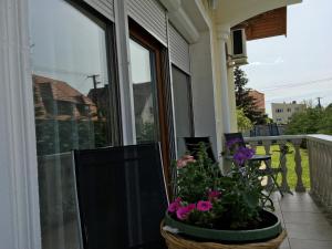 Balkón nebo terasa v ubytování Csók Apartmanház