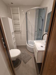 La salle de bains est pourvue de toilettes, d'une douche et d'un lavabo. dans l'établissement Przytulny apartament + siłownia, à Bytom